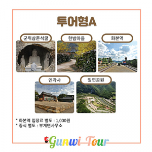 군위군 시티투어 테마노선 본격 운영