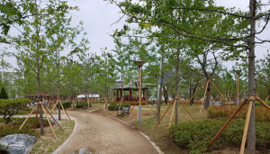 포항, 탄소중립 녹색도시 조성…기후변화 대응력 높인다