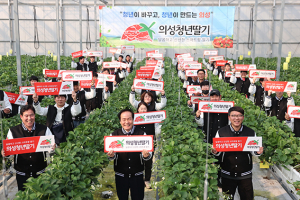 의성군, 청년농업인 스마트팜 딸기 아카데미 교육생 모집 
