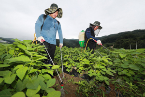 예천군, 외국인 계절근로자 근로현장 점검 실시
