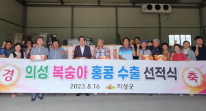 의성군 복숭아, 홍콩 시민의 입맛을 사로잡는다