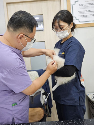 대구시, 가을철 광견병 예방접종 실시