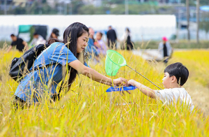 성주 가야산황금들녘 메뚜기축제 성황리 종료