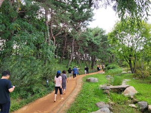 경북도청신도시 천년숲, ‘2023년 대한민국 최우수 도시숲’ 선정 