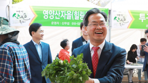 축제의 계절 풍요의 계절 맛 듬뿍 있는 영양군으로 가보자