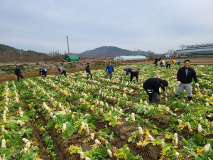 구미시, 농업 혁신의 새로운 시대 열다