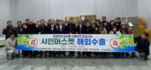 영천 프리미엄 샤인머스켓 홍콩 수출