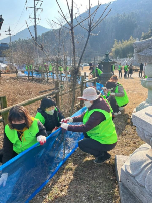 전국 최대 두꺼비 집단 산란지 보호해라~