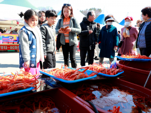 ‘2024 울진대게와 붉은대게축제’ ... 준비완료