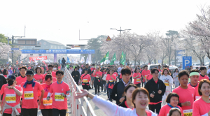 4월 ‘경주벚꽃마라톤대회’ 1만2000명 달린다