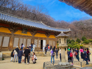 영주시, ‘여행가는 달 3월엔 여기로’ 관광객 환영맞이