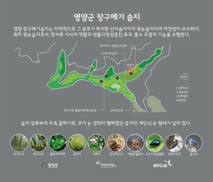 오도창 영양군수, 전국 최고 생태관광 중심도시 꿈꾼다