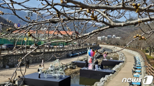 구미 금오천 벚꽃축제 강행 예산 낭비....