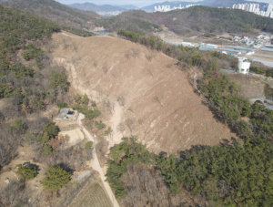 달성군, 소나무재선충병 방제 총력