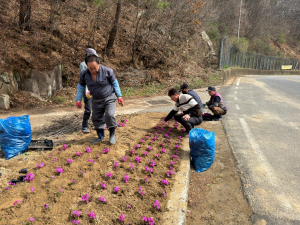 성주 금수면, 아름답고 활력 넘치는 꽃길 조성