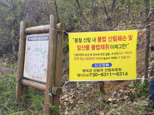 영덕군, 산림 불법행위 집중단속