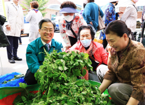 가장 자연적 축제가 바로 가장 건강한 영양 산나물 축제