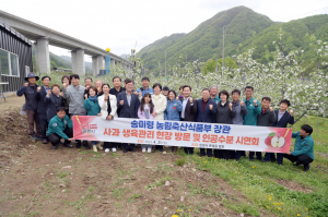 문경시, 사과 주산지 명성 방방곡곡 떨쳐