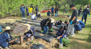 달성군, 텃밭가꾸기로 학교4-H 생태감수성 함양