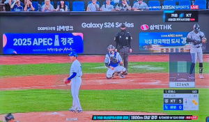 삼성라이온즈파크 광고운영사, APEC 경주유치 통큰 힘 보태다