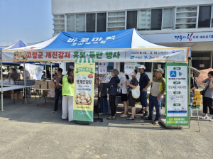고령군, 바로마켓에서 개진감자 특판행사 가져