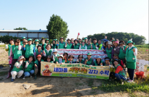 새마을지도자영천시협의회, 감자 1500kg 기탁