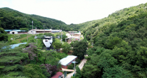 의성군, 아프리카돼지열병 차단 총력