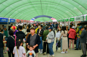 영주풍기인삼축제 '관광+경제' 시너지 성과