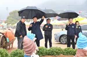 청송군, 청송사과축제 준비‘올인’