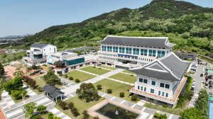 道 작년 比 