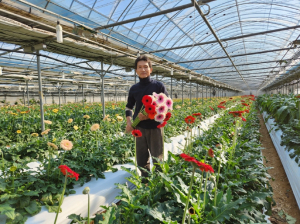 봉화군, 道 화훼산업 중심 자리매김 