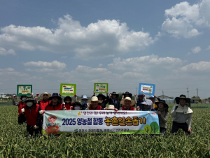 영천 관광진흥과 일손 돕기