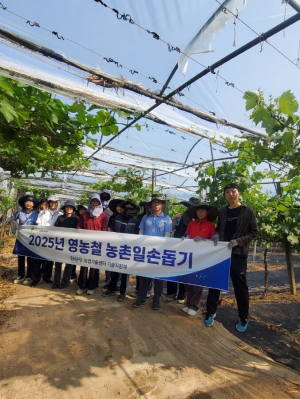 경산 기술지원과 일손돕기