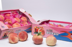 영덕군, 소비자 직거래 ‘복숭아 장터’ 연다