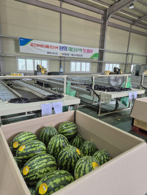 ‘봉화 재산 수박’ 전국 소비자과 만난다