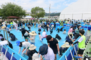 ‘여름 잡은 봉화···입맛 잡은 은어’