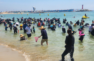 고래불 해변 페스티벌 성료