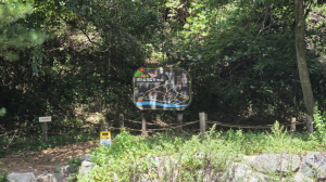 수비솔솔유아숲 정비