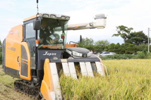 상주시, 상주쌀 미소진품 작황평가회 열어