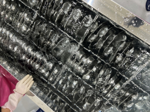 식판세척 시범사업 시작