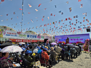 2025년 불로화훼 가을꽃 축제 개최