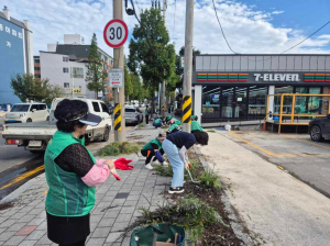 남구 연일읍 환경정비