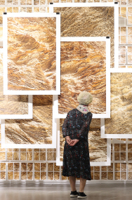 사진으로 만나는 생명의 울림