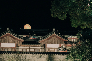 도산서원 야간개장 개최