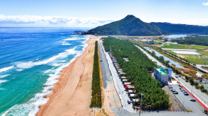 바다와 솔숲 품은 힐링 쉼터, 그곳이 바로 영덕 고래불국민야영장