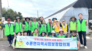 성주군 수륜면 고구마 수확