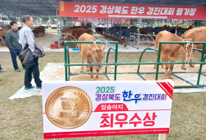 예천군, 2025년 한우경진대회 최우수상