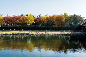 대구시 자전거 타기 좋은 코스 7선 선정