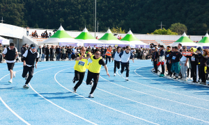 제52회 울진군민 한마음체육대회 대성황