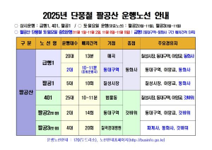 팔공산 단풍절정, 시내버스 증차로 교통편의 제공